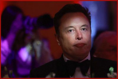 Internet Mocks Elon Musk for Praising Trump's Pardon of Digital Black Market Creator: 'What a Pillar of Society!'