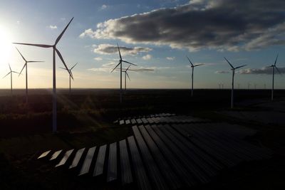 Europe posts record year for clean energy use as Trump pulls US toward fossil fuels