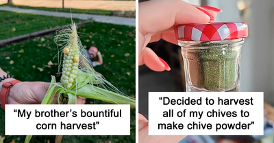 77 Funny Harvests That Prove Mother Nature Has Some Funny Tricks Up Her Sleeve