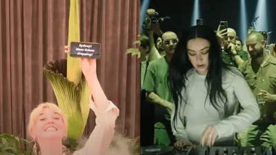Corpse Flower Putricia Has Predicted More Syd Laneway Tix Are About To Drop
