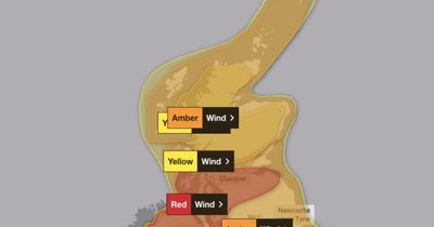 Several Met Office warnings in place for Storm Eowyn – see the full list