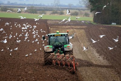 Farmers welcome supermarkets’ backing in fight against inheritance tax changes