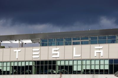 After Musk Gesture, Activists Project 'Heil' On Tesla Plant