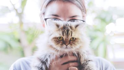 32 reasons why cats are better than people – and why we should take a leaf out of their book