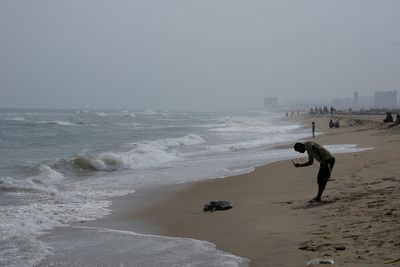 Authorities ramp up efforts to protect sea turtles as deaths on India's shores continue to mount