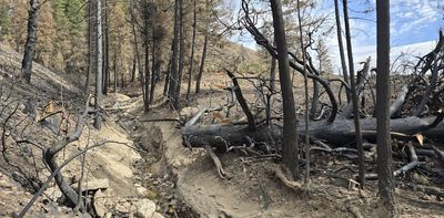 After the fire: Rain on wildfire burn scars can trigger deadly debris flows – a geologist explains how