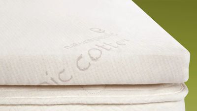 Naturepedic Adagio Organic Latex Mattress Topper review 2025