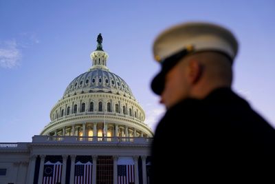 'Suicidal' Man Allowed to Enter US Capitol With Concealed Gun One Day After Trump Inauguration