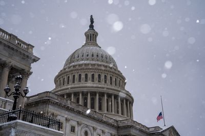 'Suicidal' Man Allowed to Enter US Capitol With Concealed Gun One Day After Trump Inauguration