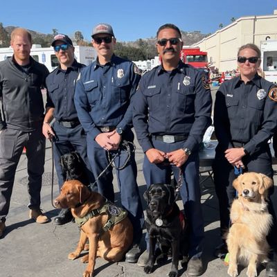 Prince Harry Just Met the Cutest Fire Department Dogs Who Have Been Working Throughout the California Wildfires