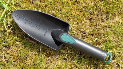 Are plastic yard tools toxic? Horticultural experts reveal why you should remove black plastic from your yard