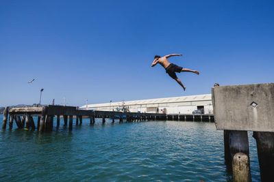 Popping a manu: New Zealand’s unique water jumping obsession