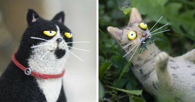 Strange Art Dolls: 50 Funny-Looking Animal Dolls Created By This Georgian Artist