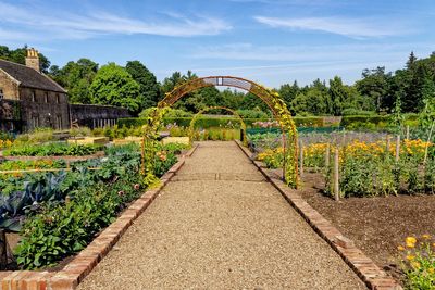 Five of the UK’s best spring walks to make you feel alive