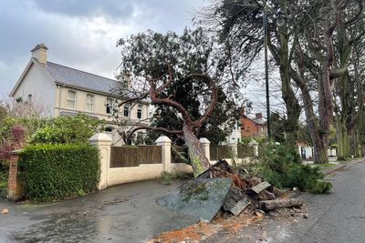 In pictures: Storm Eowyn’s 100mph winds cause disruption and destruction