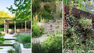 Influential garden trends shaping outdoor spaces in 2026: 16 key planting schemes and landscaping ideas