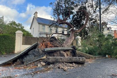 More than 280,000 without power in NI after Storm Eowyn batters region