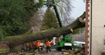 What to do if you need to claim on your home insurance after a storm