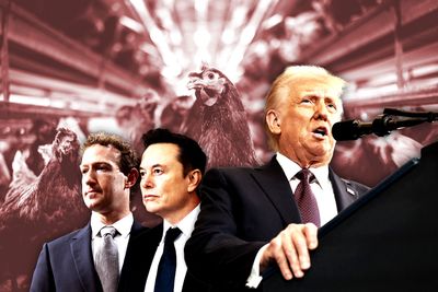 Trumponomics: Grocery bills will soar