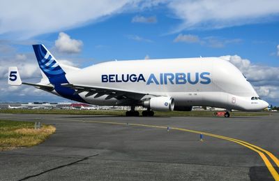 Airbus Grounds Its Massive Beluga Cargo Flights