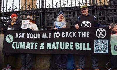 UK climate and nature bill dropped after deal with Labour backbenchers