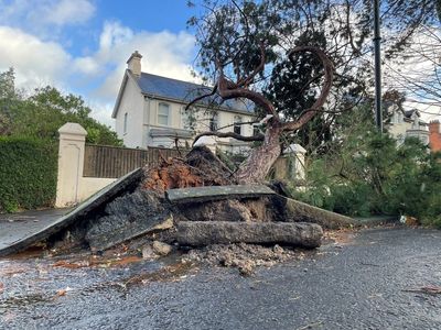 Moment homeowner is nearly hit by falling tile as Storm Eowyn as winds reach 114mph