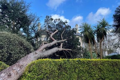 It will take days to assess all Storm Eowyn damage in Northern Ireland – police