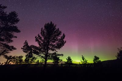 Get your cameras ready! The northern lights could reach several US states tonight