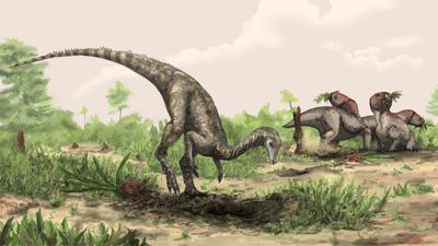 Secrets of 1st dinosaurs lie in the Sahara and Amazon rainforest, study suggests