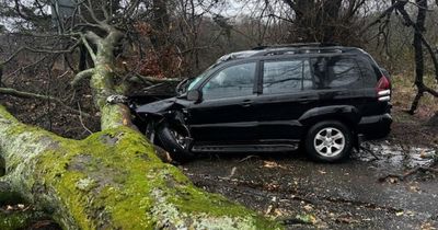 Driver makes 'narrow escape' as tree collapses on car during Storm Eowyn