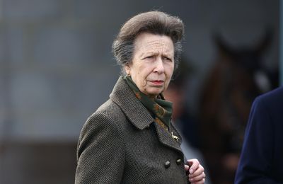 Princess Anne admits she remembers 'nothing' about her horse accident