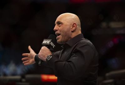 Joe Rogan Labels Nick Diaz As One Of The Best Fighters Ever