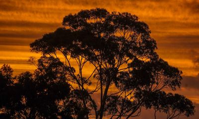 Rain causes power outage for tens of thousands of Perth homes as long weekend brings hot weather