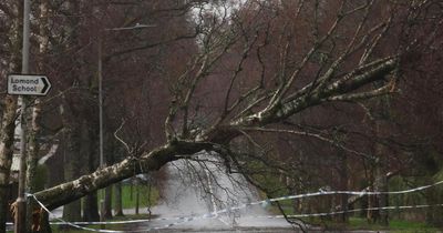 Storm Eowyn 'probably strongest to hit UK in at least 10 years', says Met Office