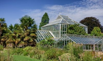 ‘The risk of extinction is accelerating’: world’s botanic gardens raise alarm with space to protect endangered plants running out