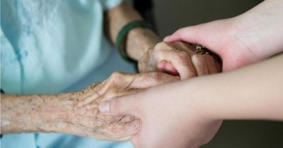 Trade unions urge Government to learn from National Care Service failures