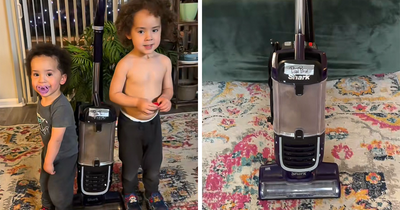 Mom Washes Dirt Out Of Sons’ Mouths And Vacuums It Off Her Floor Only To Learn It Wasn’t Dirt