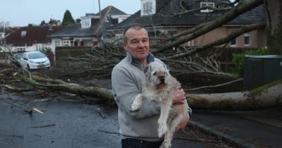 Storm Eowyn's destruction pictured as clear up underway