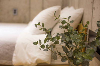 Tencel Sheets: Eco-Friendly Sleep Revolution