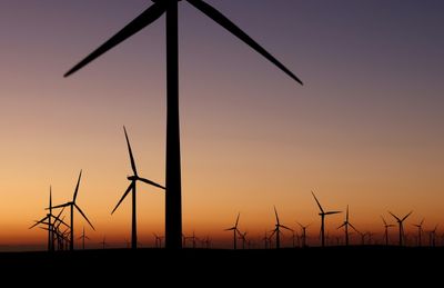 Trump Casts Chill Over US Wind Energy Sector