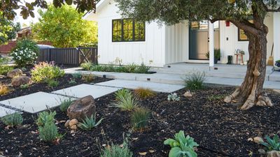 Front yard landscaping ideas with rocks and mulch – 8 expert and sustainable ideas to take your curb appeal to the next level