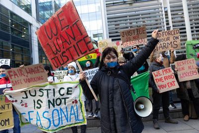 Protests by fruit pickers and farmers put spotlight on price of cheap food in UK