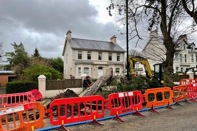 75,000 remain without power in Northern Ireland after Storm Eowyn