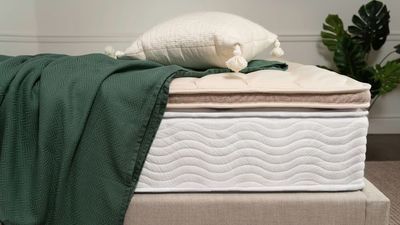 How to clean luxury, organic and natural mattresses — pro tips for cleaning premium materials