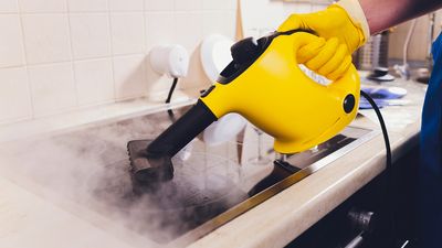 Professional cleaners share the 5 things you should never steam clean