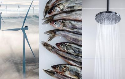 From showers to tiny fish to windmills, Trump’s climate policies are driven by fixations