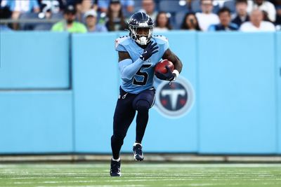 Former Georgia WR signs with Houston Texans