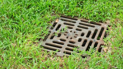 How to unclog a yard drain – expert tips for unblocking all 5 types without the need of specialist equipment