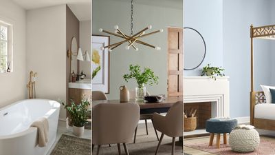 These are Sherwin-Williams' most calming paint colors – 5 delicate shades for a relaxing home