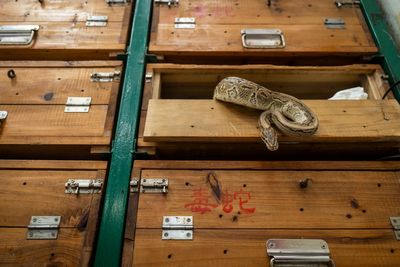 AP PHOTOS: Hong Kong's snake soup is slithering away but still simmers in a decades-old kitchen